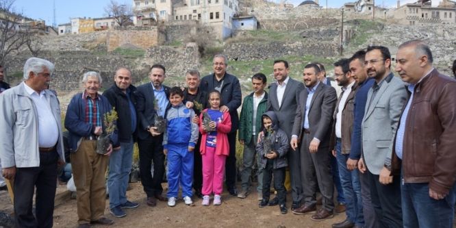 Nevşehir’de 30 bin sedir çam fidanı dağıtıldı