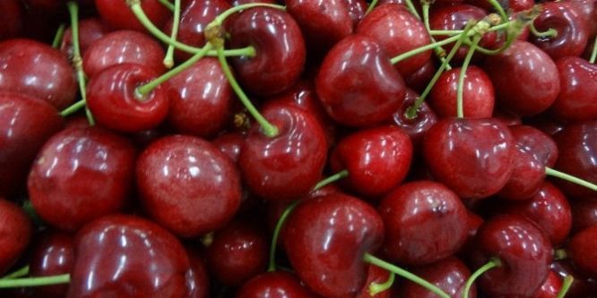 Türk kirazı ve üzümü Almanya’dan Avrupa’ya açılacak