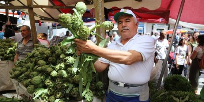 Enginar üreticilerinin yüzü gülüyor