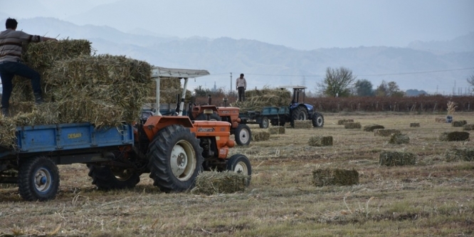 Alaşehir Belediyesinden üreticiye ücretsiz yem desteği