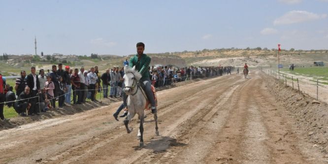 Rahvan At Yarışları ilk kez Nizip’te düzenlendi