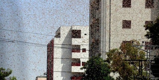 3 ayda ikinci kez oldu, OHAL ilan ettiler! Türkiye'den iş birliği teklifi