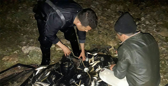 3 bin 600 kilogram kaçak avlanmış balık ele geçirildi