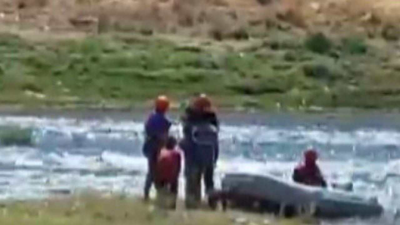 3 çocuk 2 köpek adada mahsur kaldı