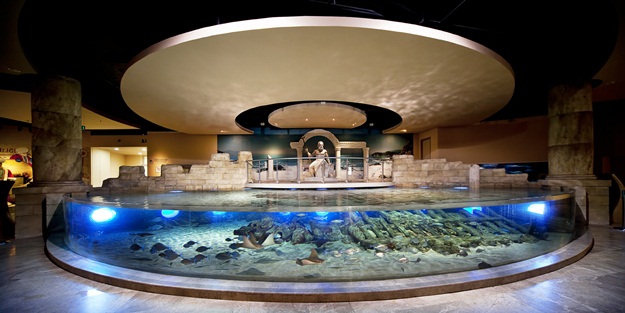 3 gün boyunca İstanbul Akvaryum öğretmenlere ücretsiz