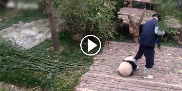 3 günde tam 165 milyon kişi izledi!