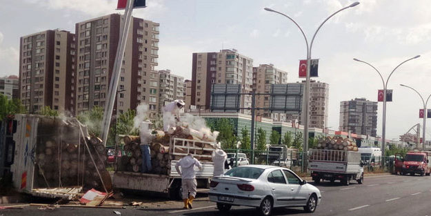 3 ilde bal arısı dehşeti! Ölü ve yaralılar var...