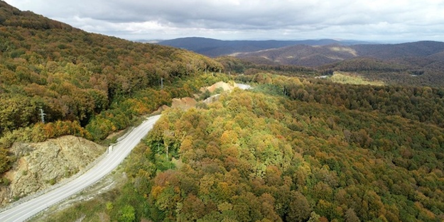 3 ilde daha ormanlık alanlara girişler yasaklandı!