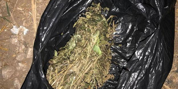 3 ildeki torbacı operasyonunda 26 tutuklama