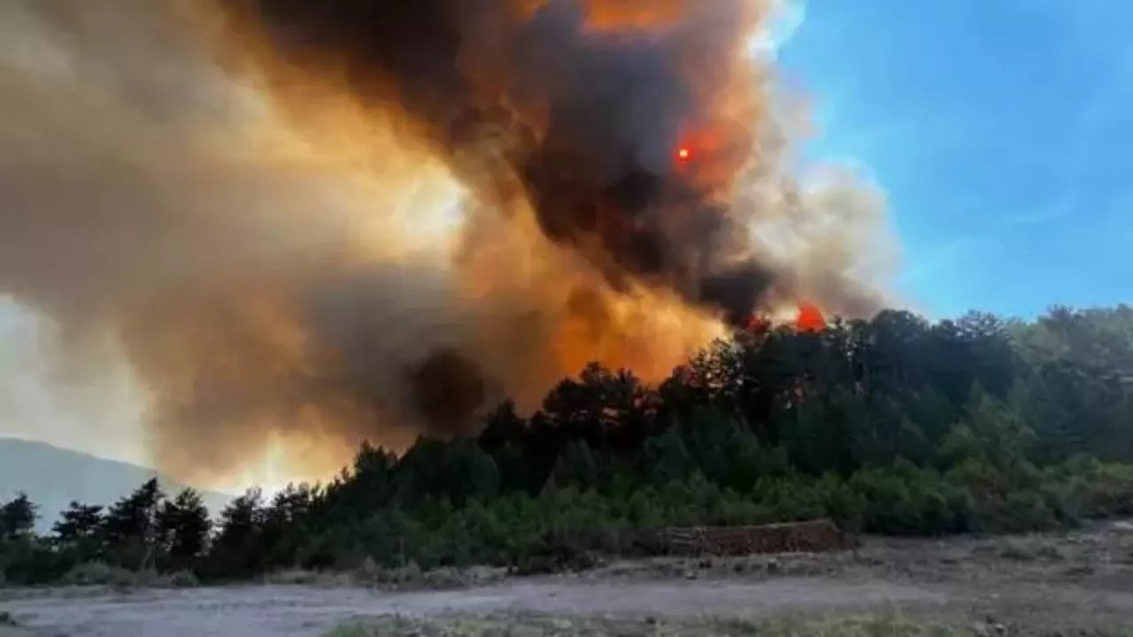 3 ilimizde devam eden orman yangınlarına müdahale sürüyor!