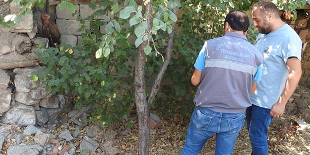 3 kardeş oyun oynarken buldu, hemen harekete geçtiler