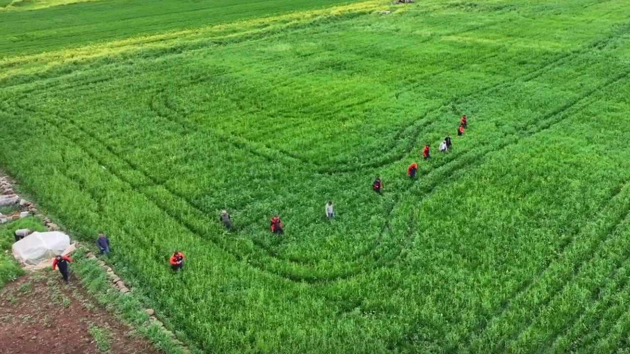 3 kilometre uzakta uyurken bulundu 3 yaşındaki Yazgül Diyarbakır'ı korkuttu