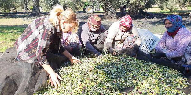 3 kıtadaki sofraları tatlandırıyor