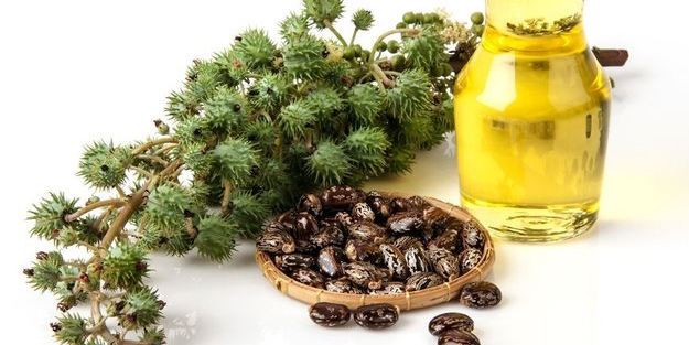 3 malzeme ile dökülen saçlarınızı geri kazanacaksınız: İlaç gibi geliyor! Avuç avuç dökülen saçları geri getiriyor