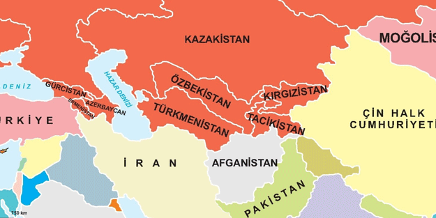 3 Türk devletinden Çin'e karşı hamle