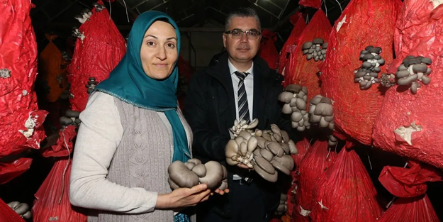 30 bin lira hibeyle yola çıktı, şimdi 4 ton üretim yapıyor