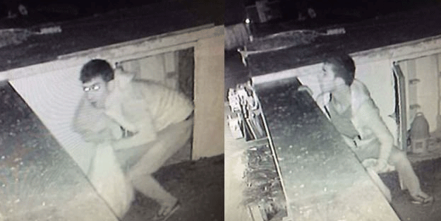 30 bin tl'lik güvercin hırsızlığı şaşırttı