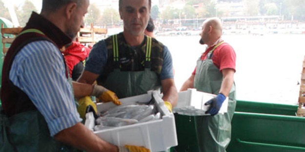 Tekneyle denize açılan balıkçı 30 ton balıkla döndü
