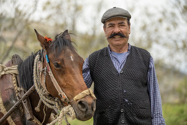 30 yıldır durmadan çalışıyor! Bir at bir sabanla iki çocuğunu doktor yaptı