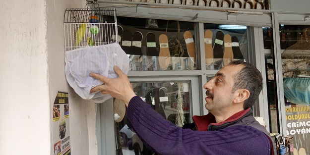 30 yıldır kanarya sesleri arasında mesleğini sürdürüyor