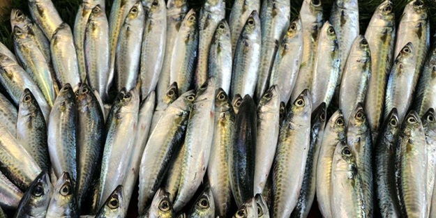 30 yıllık hasret sona erdi