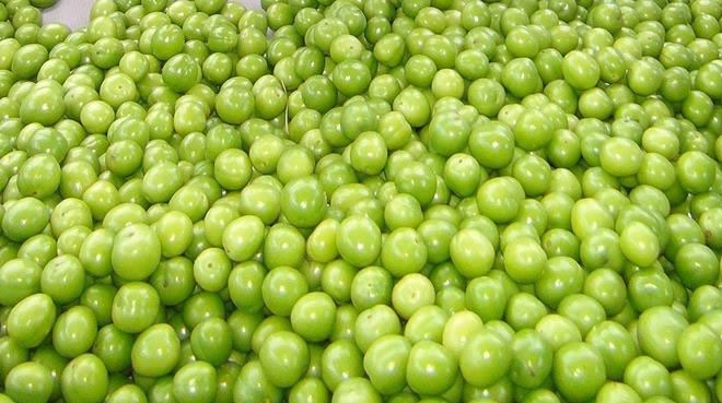 300 liradan 10 liraya düştü