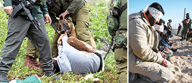 Siyonist zulüm 65 yaşında