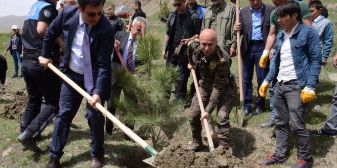 Hakkari polisi öğrencilerle fidan dikti