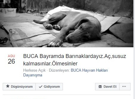 Hayvanseverlerden ’bayramda barınakları ziyaret edin’ çağrısı