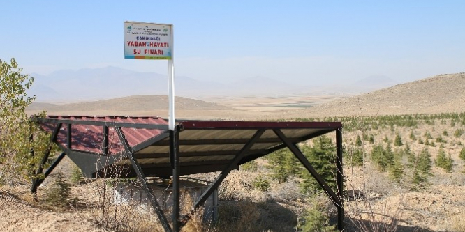 Yaban hayvanları için su pınarları yapıldı