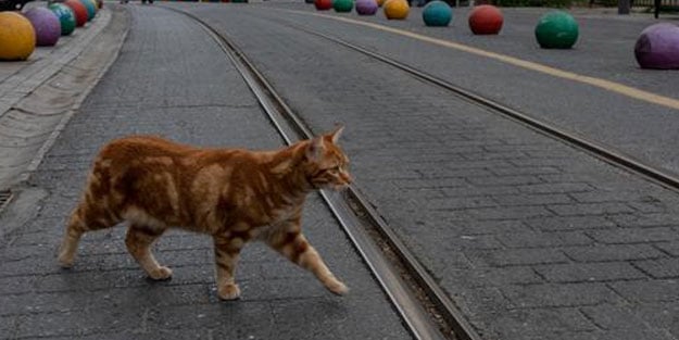 31 ilde 4 günlük sokağa çıkma yasağı başladı