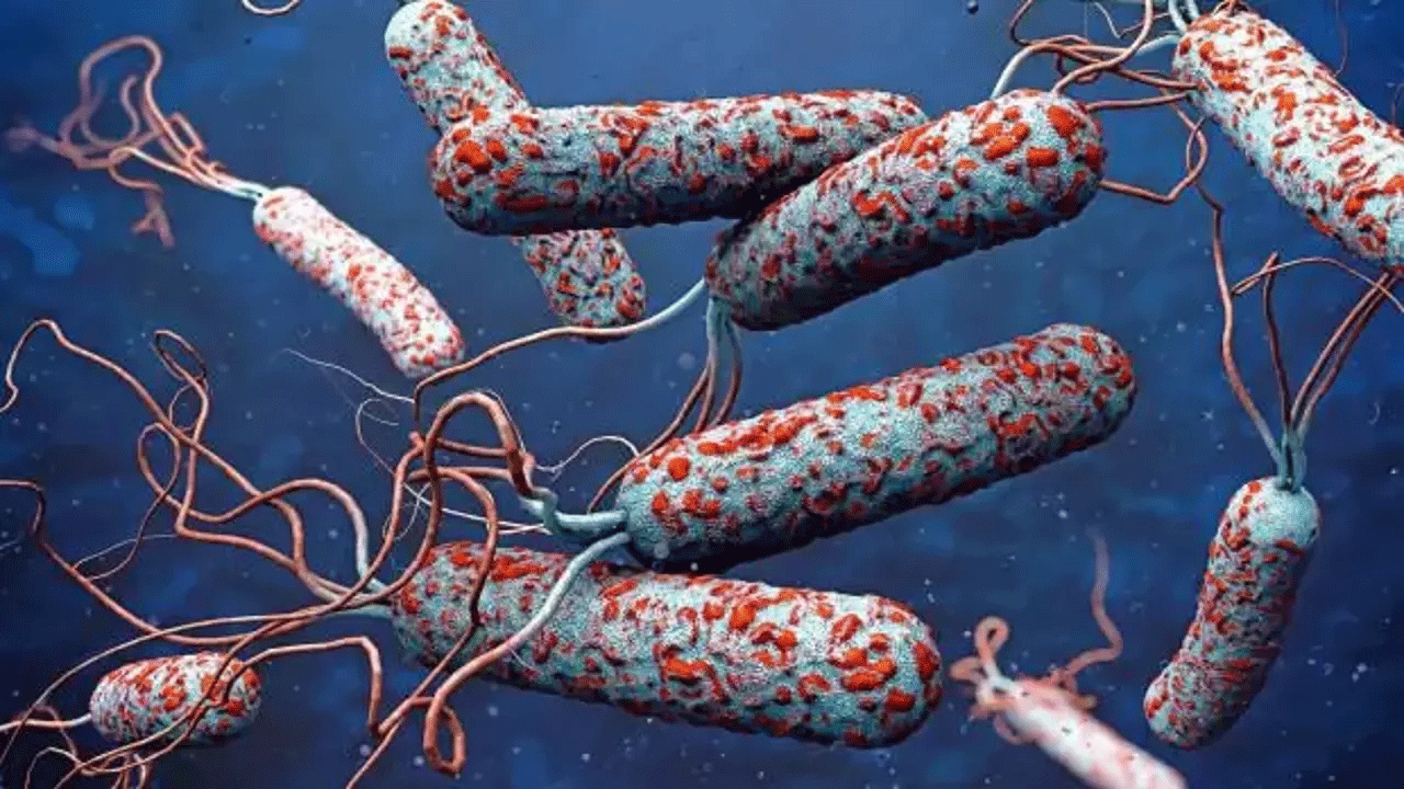 31 ülkede salgın alarmı: DSÖ risk çok yüksek diyerek uyardı!