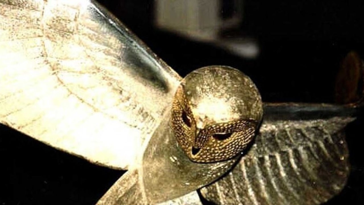 31 yıldır aranan Altın baykuş bulundu: Hazine avı tamamlandı!