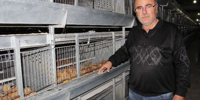 Üreticide 6 lira, marketlerde 12-20