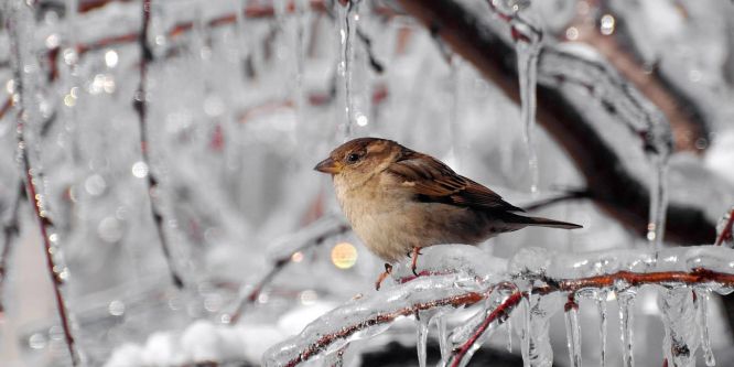 Meteorolojiden don uyarısı yapıldı