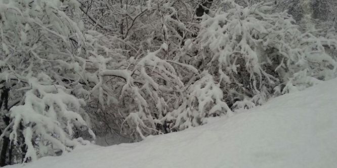 Şemdinli’de kar yağışı