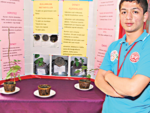 Kur’an-ı Kerim dinletilen bitki 3 kat daha fazla büyüdü