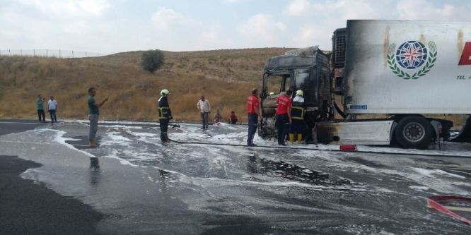 Tır, Adana otoyolunda alev alev yandı