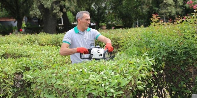 Burhaniye’de yeşil alanlar artıyor