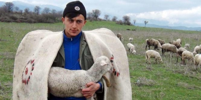 Samsun’da çoban istihdamına destek