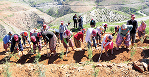 Ağaçlandırma rekoru!