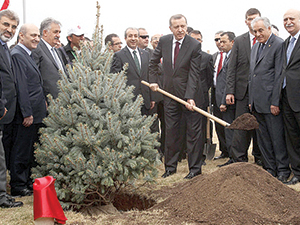 On yılda 2.7 milyar fidan toprakla buluşturuldu