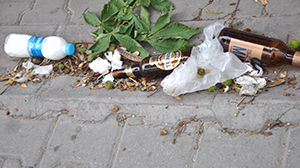 Eylemci değil, alemci