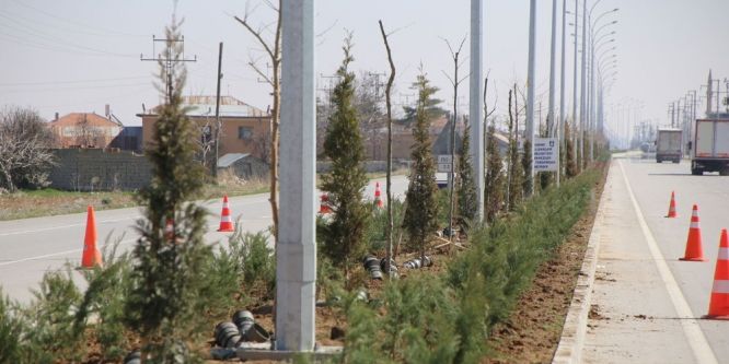 Karaman Belediyesi’nin hedefi 30 bin fidan dikmek