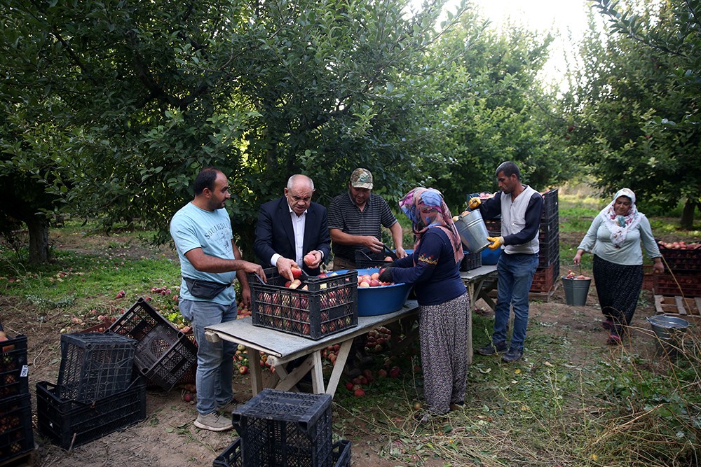 36 bin nüfuslu bir ilçe! Pastırmanın başkentinden 18 ülkeye elma ihracatı