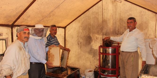 Arıcılar hasattan sonra göç edecek
