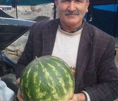 Kış ortasında karpuz satıyor
