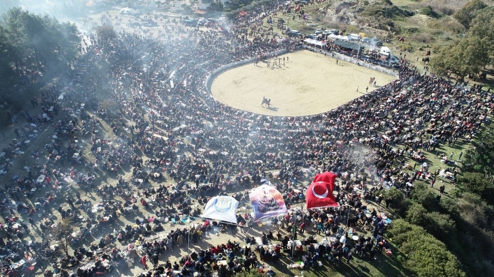 38. Uluslararası Devecilik Festivali’ne binlerce kişi akın etti 