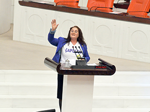 Sebahat Akkiraz da ‘çapulcu’