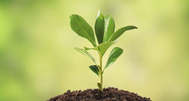 Eskişehir’de fidan dikim çalışmaları başladı